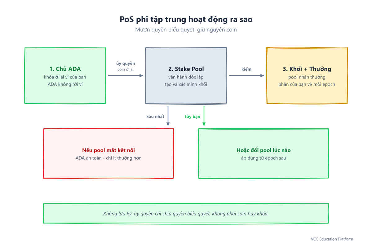 Flowchart - Proof of stake delegation flow: ADA holder delegates to stake pool, pool produces blocks, rewards flow back