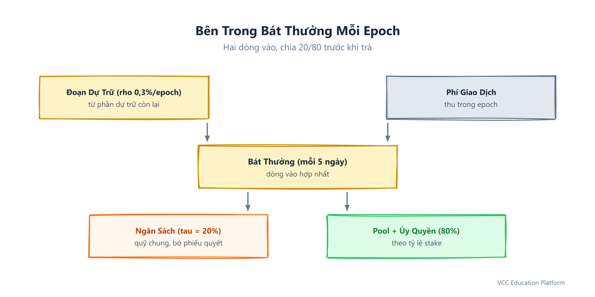 Flowchart - Each epoch's reward pot: remaining reserve slice + transaction fees enter, then split 20% tau cut to the on-chain treasury and 80% paid out to stake pools and delegators