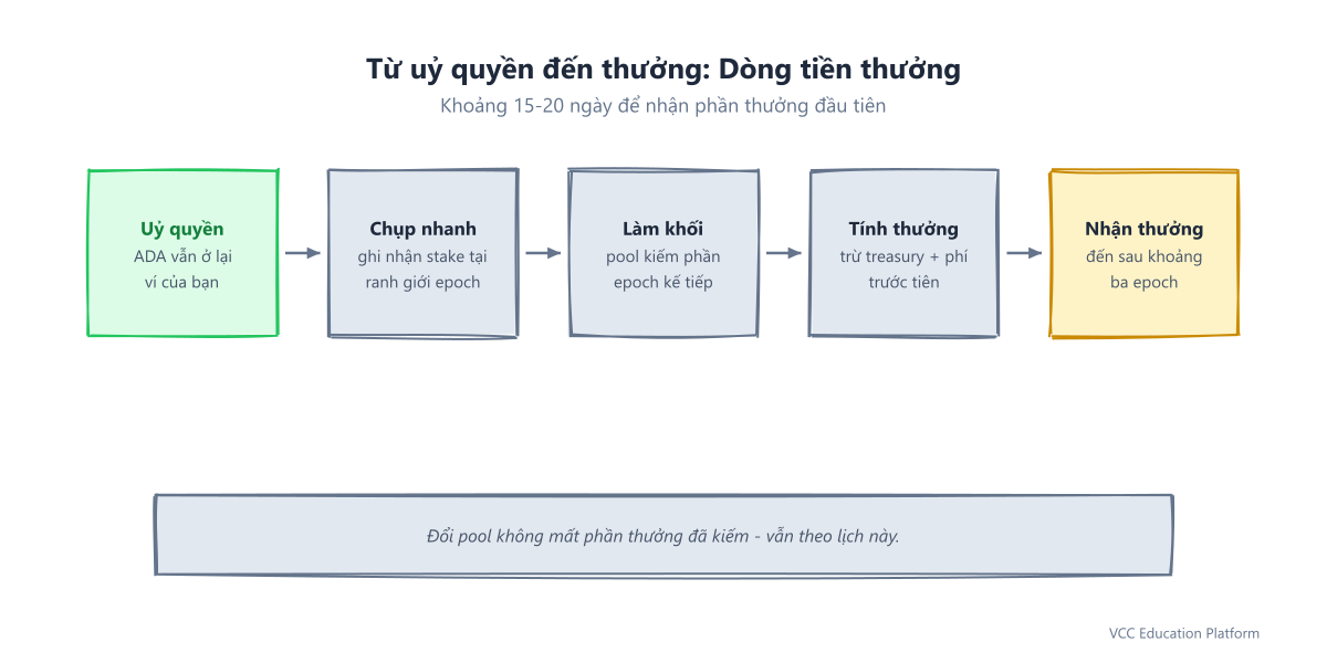 Flowchart - Reward pipeline from delegation snapshot to payment across epochs