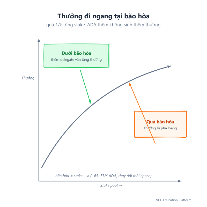 Graph - Reward curve rising with stake then flattening at the saturation point