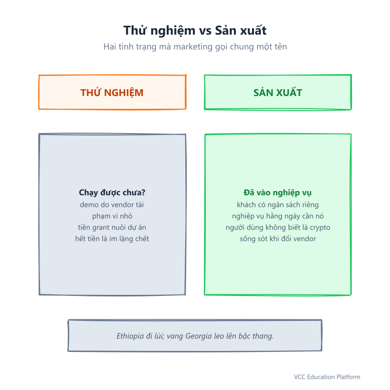 Comparison - Pilot vs production maturity