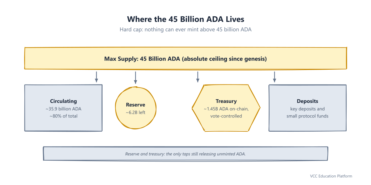 Diagram - Where the 45 billion ADA lives: ~35.9B circulating, ~6.2B staking reserve, ~1.45B on-chain treasury, remainder in deposits