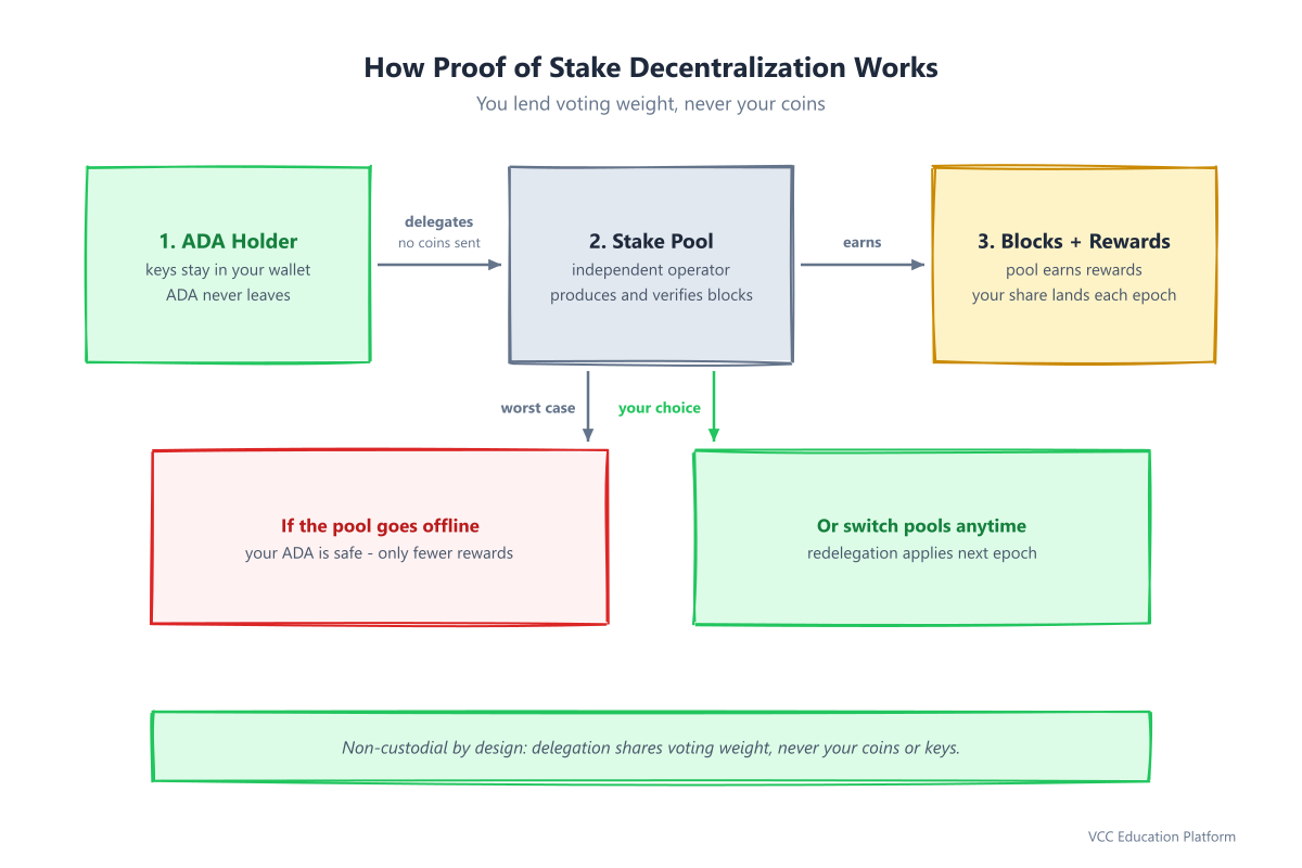 Flowchart - Proof of stake delegation flow: ADA holder delegates to stake pool, pool produces blocks, rewards flow back