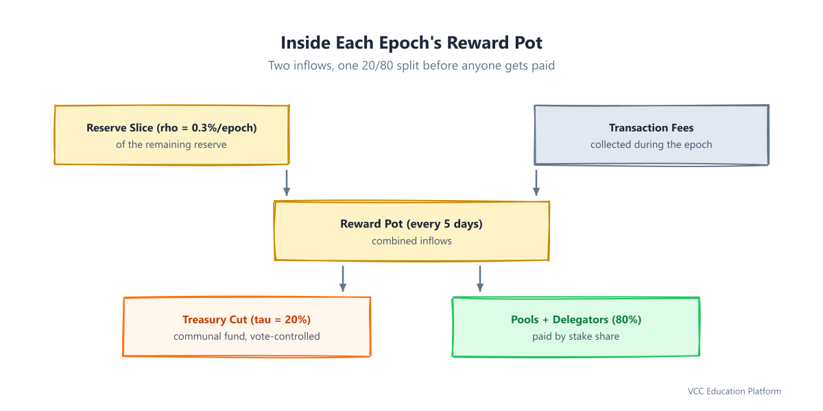 Flowchart - Each epoch's reward pot: remaining reserve slice + transaction fees enter, then split 20% tau cut to the on-chain treasury and 80% paid out to stake pools and delegators