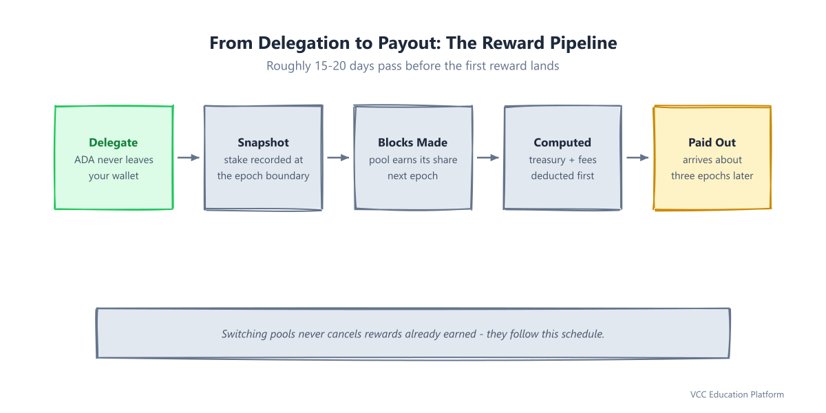 Flowchart - Reward pipeline from delegation snapshot to payment across epochs