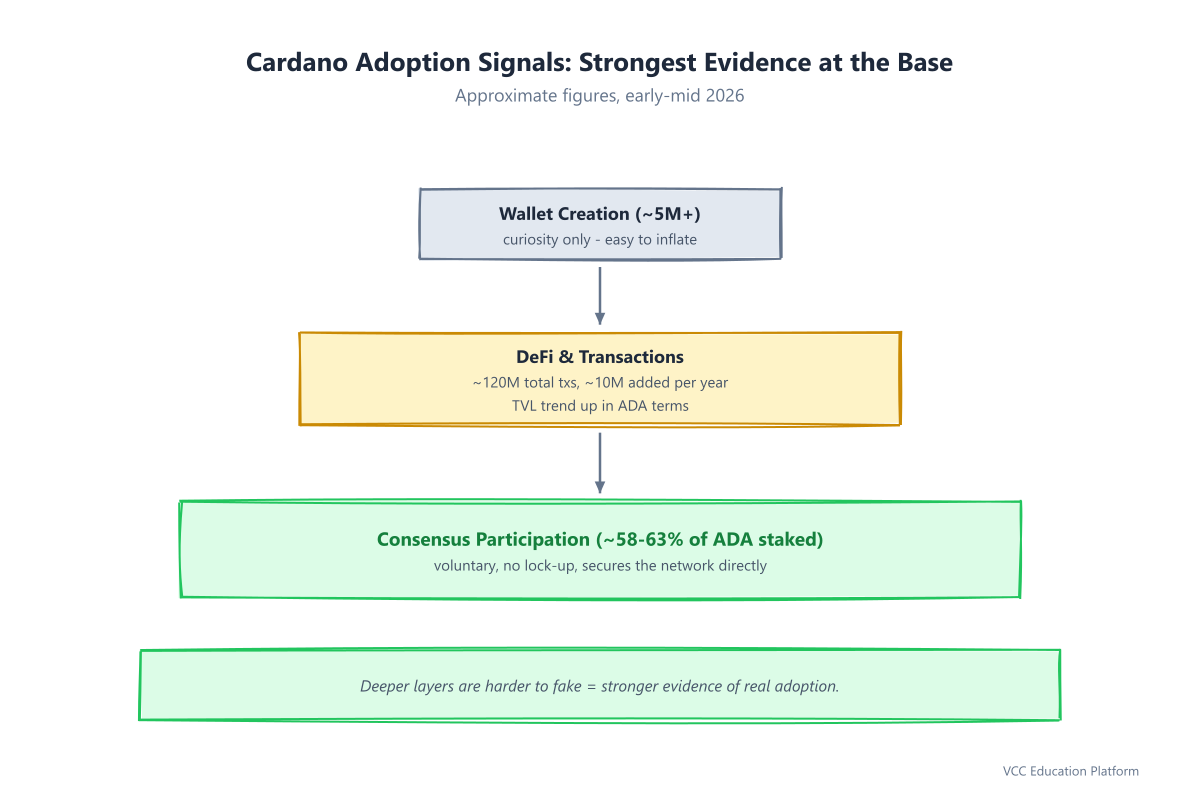 Pyramid - Cardano adoption signal pyramid: consensus participation at base, DeFi activity middle, wallet creation at top