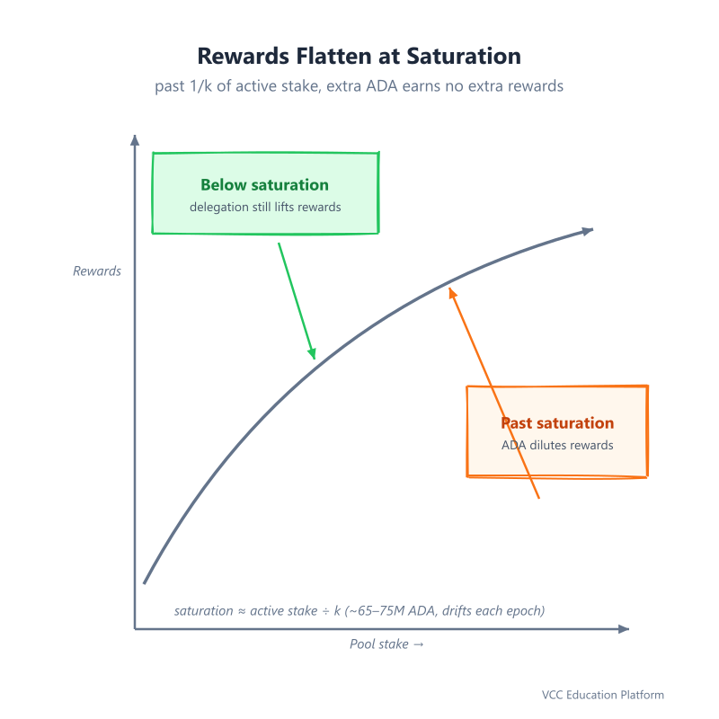 Graph - Reward curve rising with stake then flattening at the saturation point