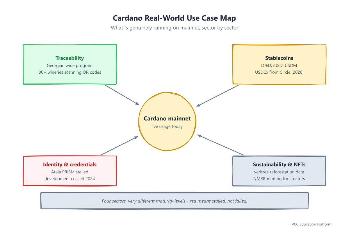 Diagram - Cardano real-world use case map