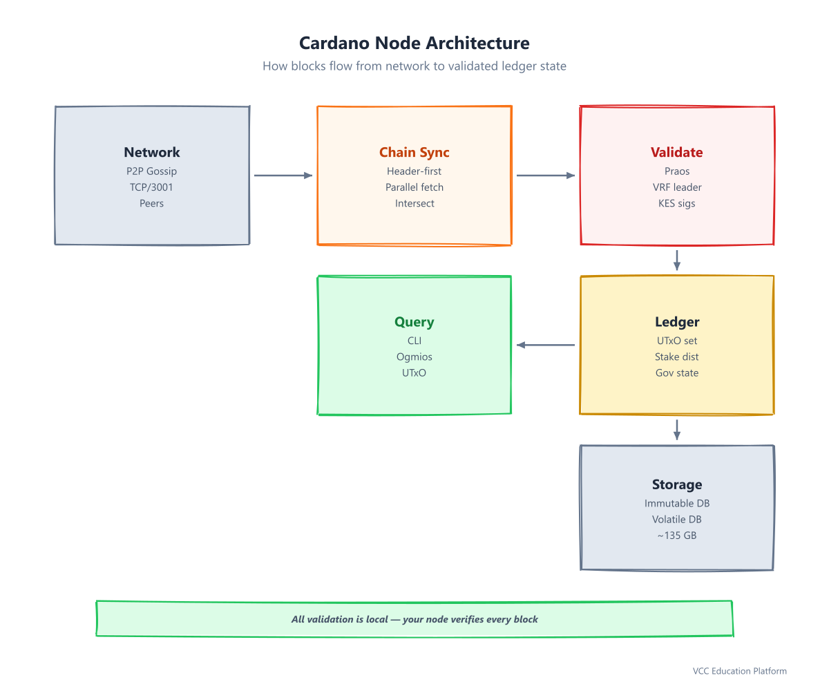 sơ đồ quy trình - cây quyết định cấu hình Node Cardano