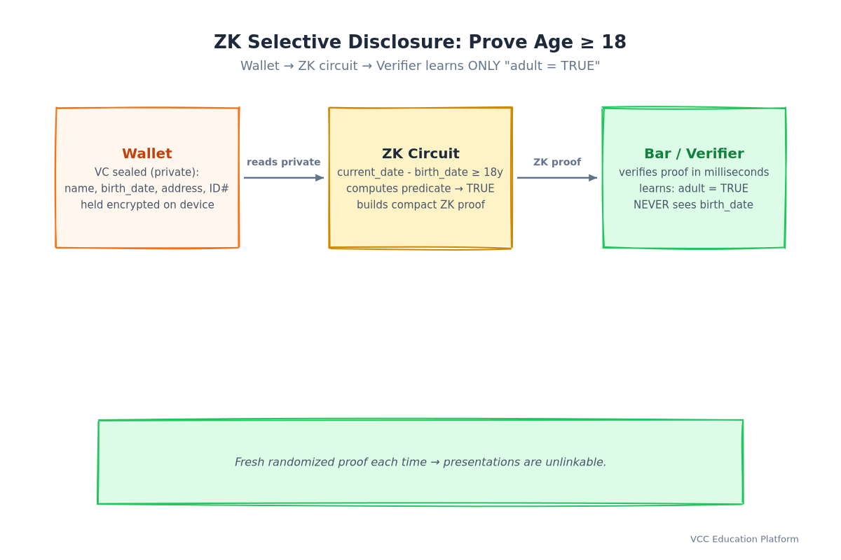 ZK selective disclosure: wallet → ZK circuit (age ≥ 18) → verifier learns only adult = TRUE