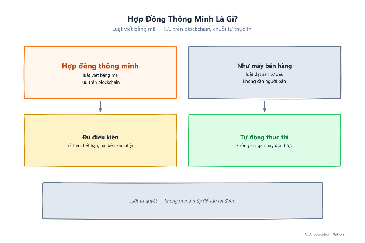 Hợp đồng thông minh là gì: luật viết bằng mã tự thực thi, ví như người gác cổng cho giao dịch qua khi đủ điều kiện
