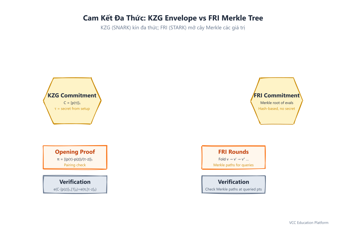 Cam kết đa thức: KZG envelope (SNARK) vs FRI Merkle tree (STARK)