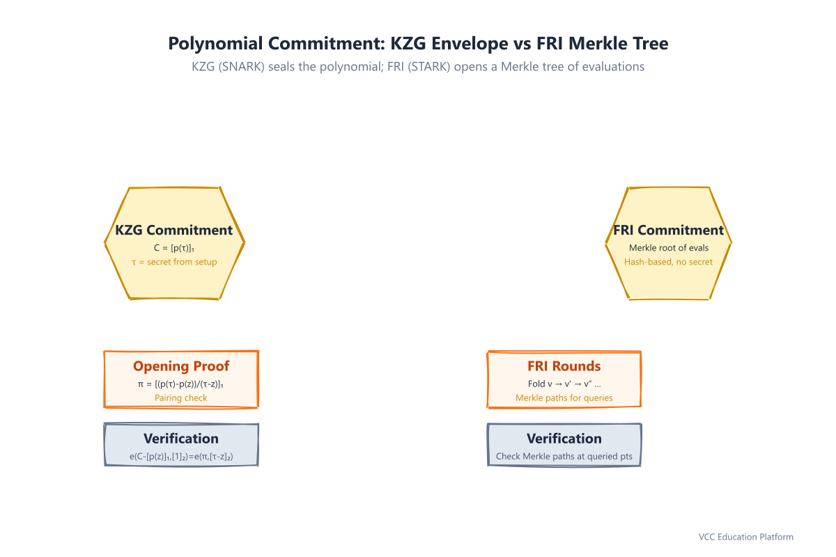 Polynomial commitment: KZG envelope (SNARK) vs FRI Merkle tree (STARK)