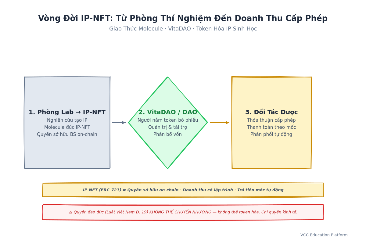 Vòng đời IP-NFT: Từ phòng lab đến doanh thu cấp phép