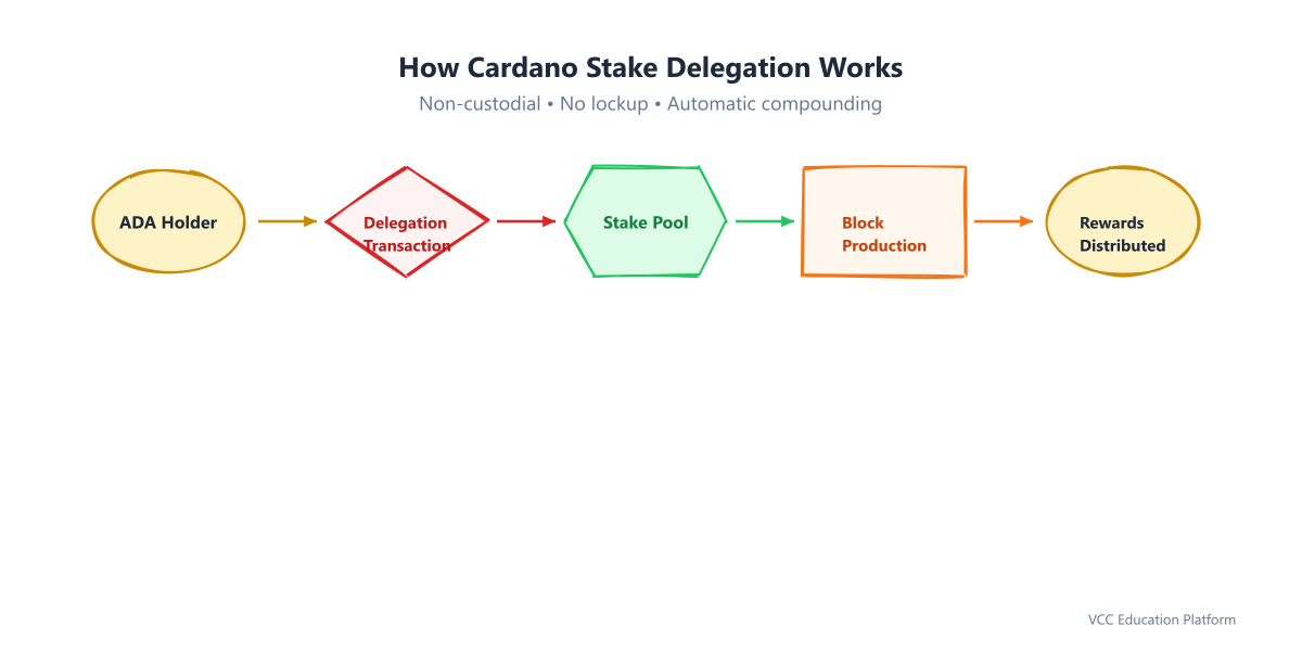 Flowchart - How Cardano stake delegation works: ADA holder → Delegation → Stake Pool → Block Production → Rewards distributed proportionally