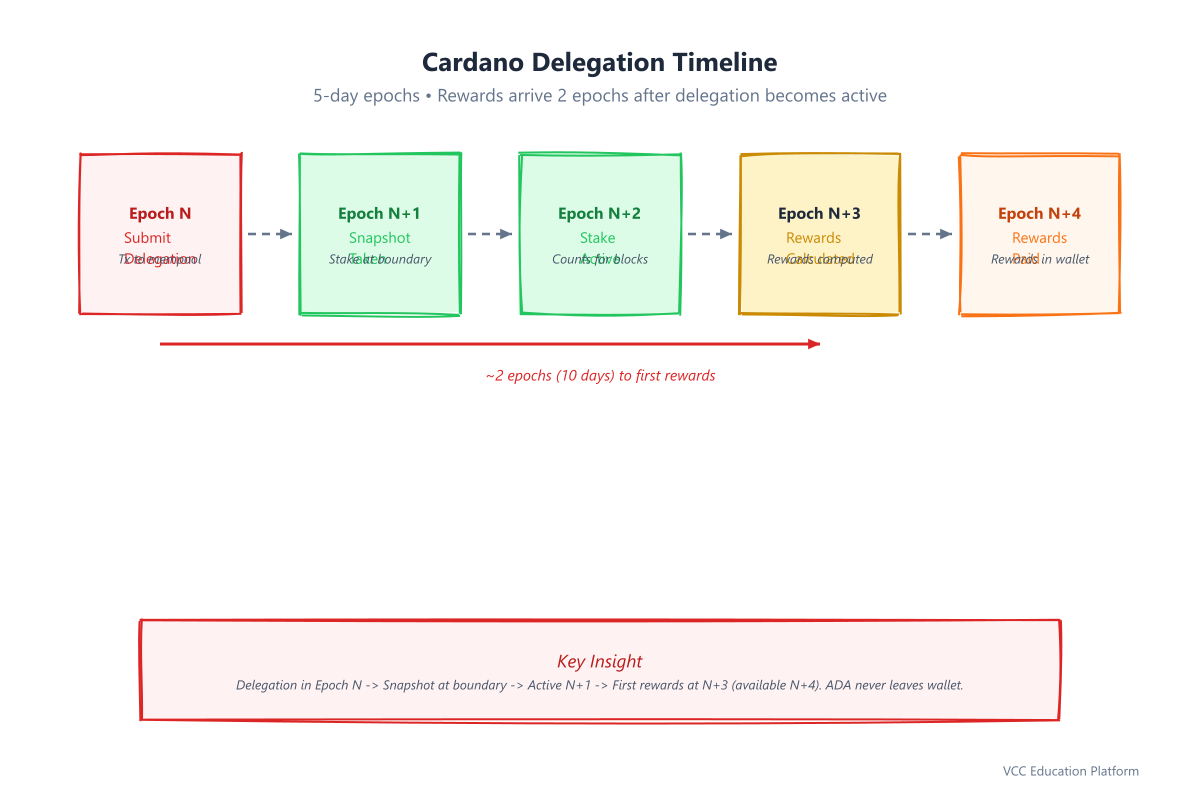Timeline - Epoch timeline showing delegation timing: Day 1-5 = Epoch N, Delegation submitted → Snapshot at epoch boundary → Active next epoch → Rewards paid 2 epochs later