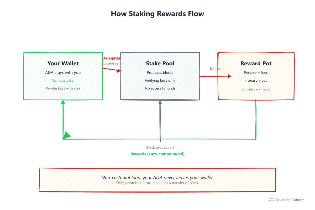 Overview of how staking rewards flow