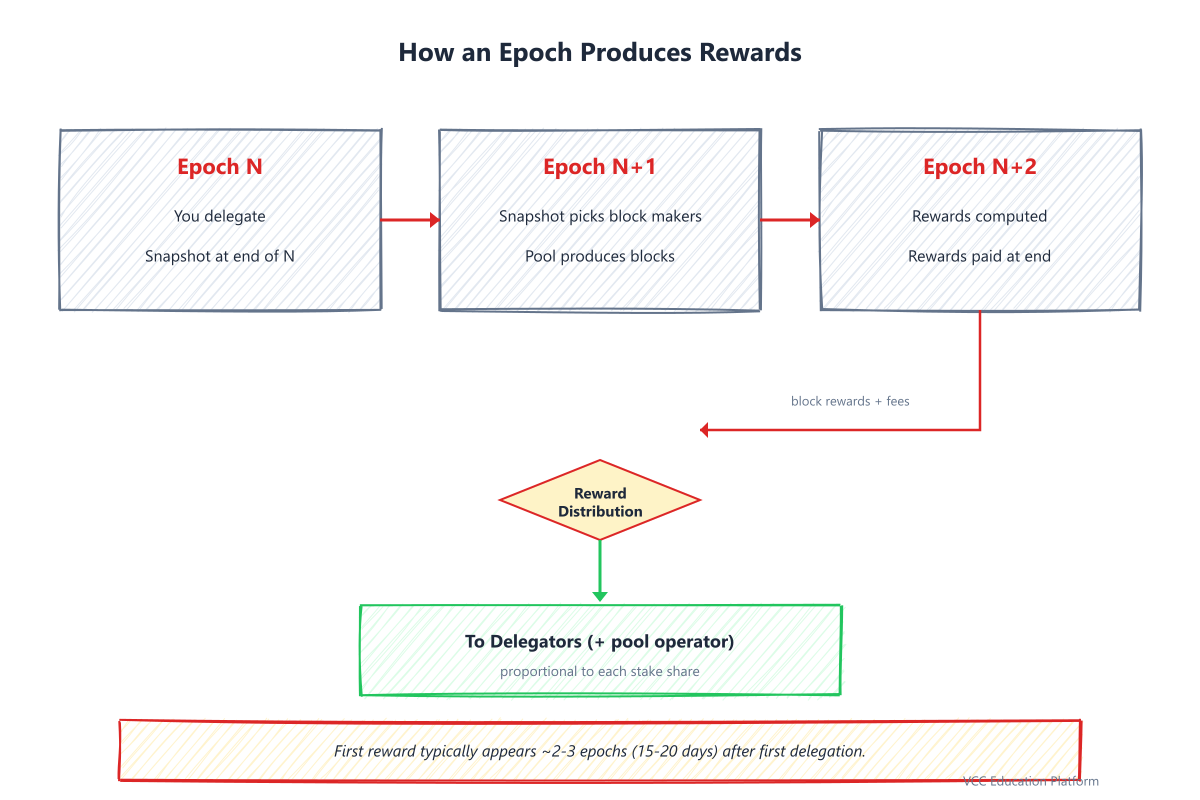 How an epoch snapshot produces rewards