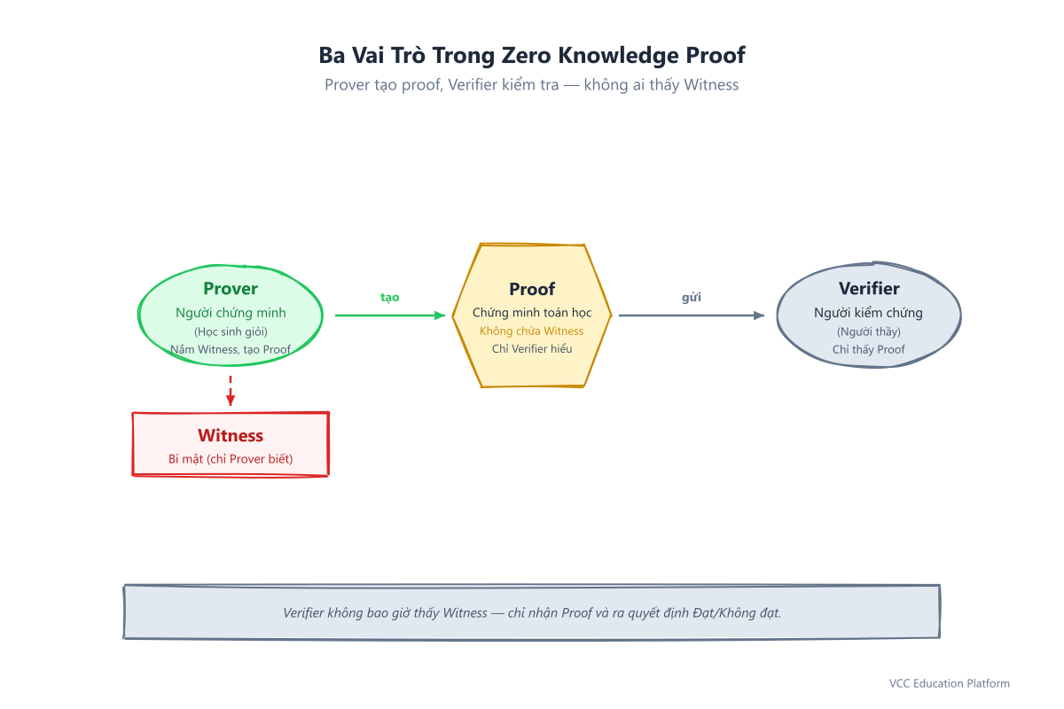 Ba vai trò ZKP: Học sinh (Prover) giữ Witness (bí mật) tạo Proof gửi cho Người thầy (Verifier). Verifier chỉ nhận Proof, không thấy Witness.