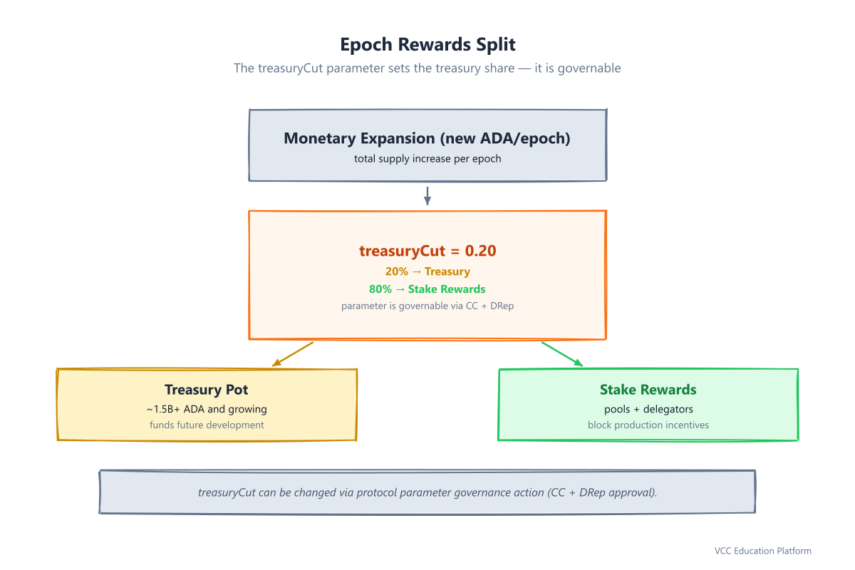 Flowchart - Epoch Rewards Split: Monetary Expansion → treasuryCut → Treasury Pot (~20%) + Stake Rewards (~80%)
