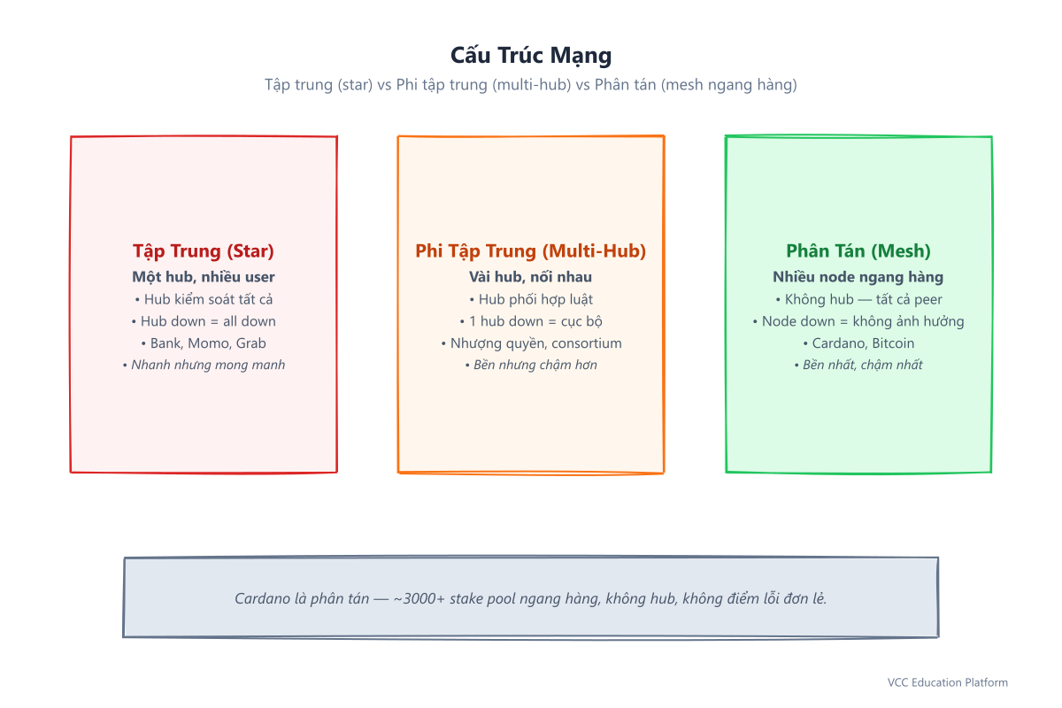 Cấu trúc mạng: tập trung (star, một hub), phi tập trung (multi-hub), phân tán (mesh node ngang hàng, Cardano)