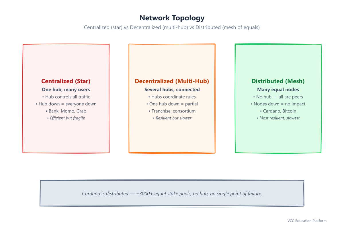 Network topology: centralized (star, one hub), decentralized (multi-hub), distributed (mesh of equal nodes, Cardano)