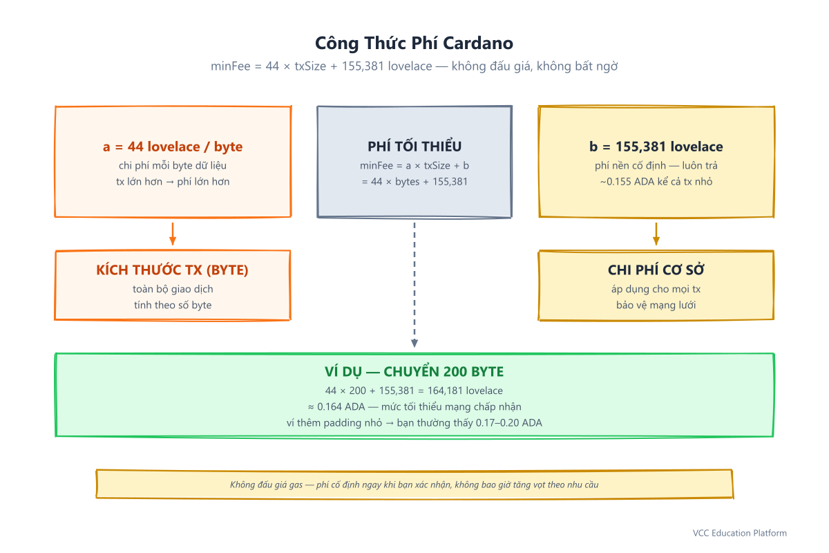 Công thức phí Cardano: minFee = 44 × bytes + 155.381 lovelace, với ví dụ làm việc 200 byte tốn khoảng 0.164 ADA và lưu ý không có cuộc đấu giá gas