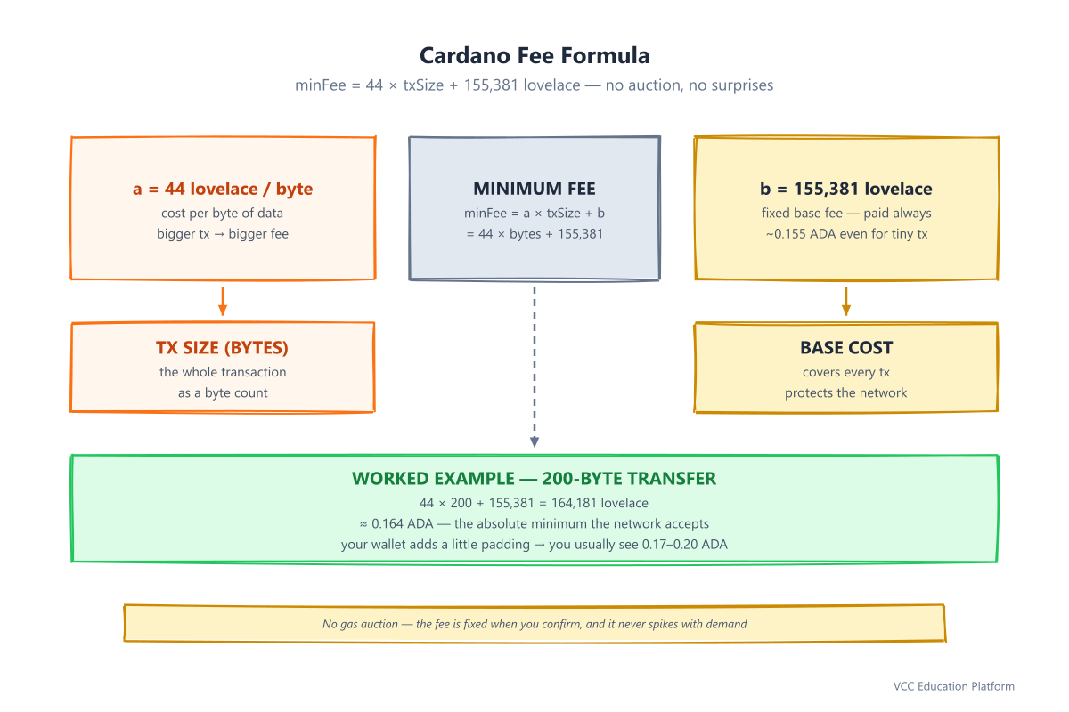 Cardano fee formula breakdown: minFee = 44 × bytes + 155,381 lovelace, with a 200-byte worked example costing ~0.164 ADA and a no-gas-auction callout
