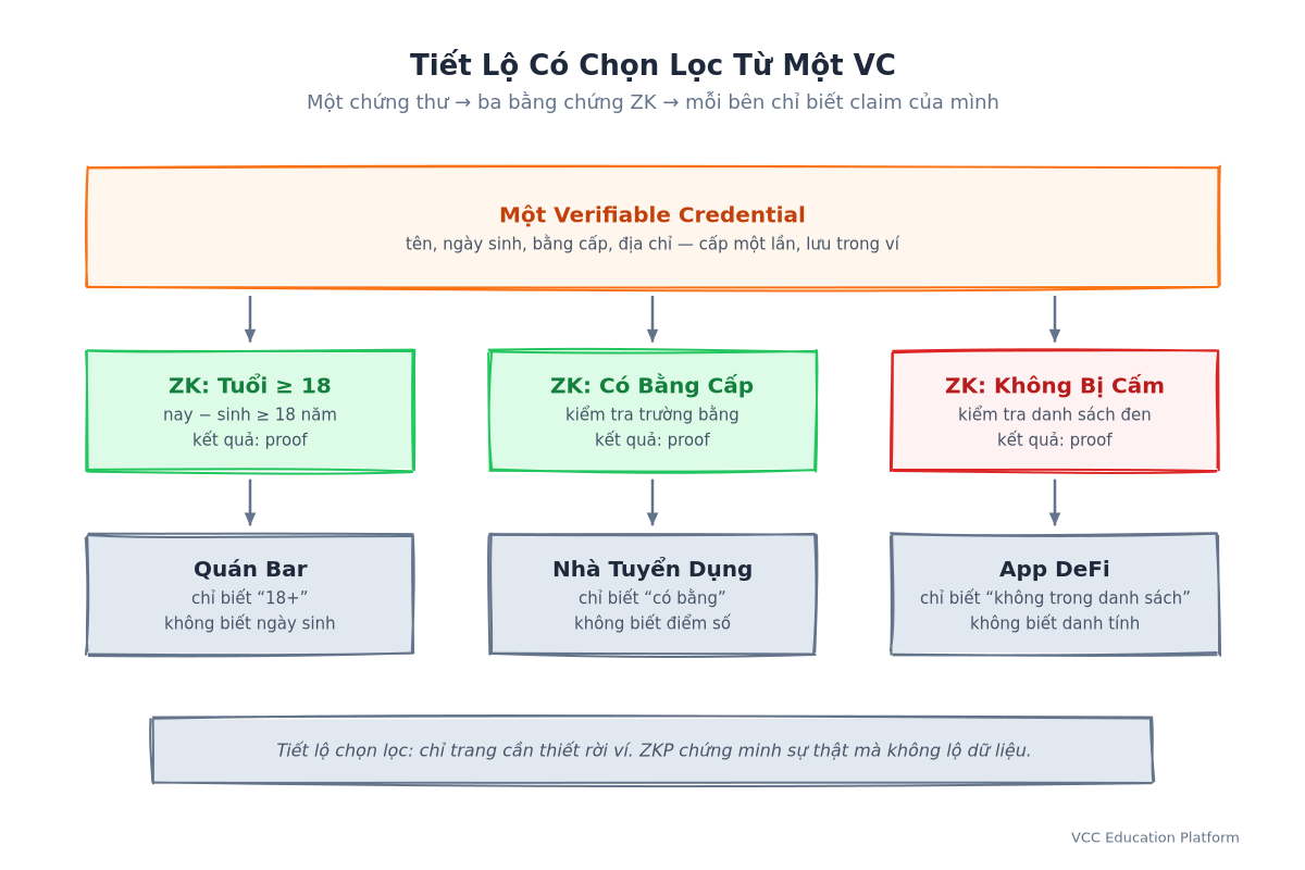 Tiết lộ chọn lọc: một VC dẫn đến ba mạch ZK, mỗi bên xác minh chỉ biết tuyên bố của mình, không bao giờ thấy dữ liệu gốc