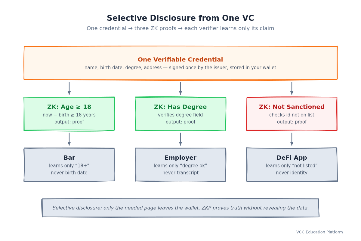 Selective disclosure: one VC feeds three ZK circuits, each verifier learns only its claim, never the underlying data