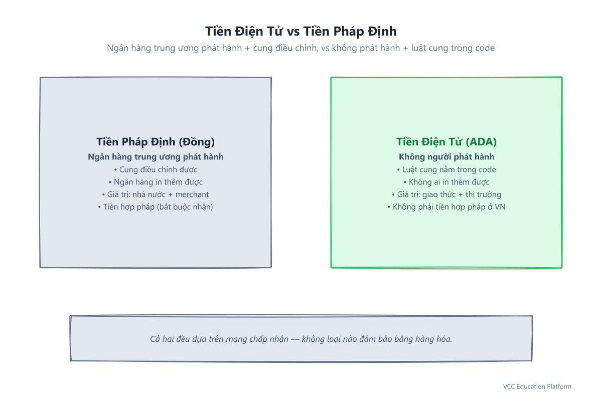 Tiền điện tử vs tiền pháp định: tiền pháp định có ngân hàng trung ương phát hành với cung điều chỉnh; crypto không người phát hành, luật cung trong code