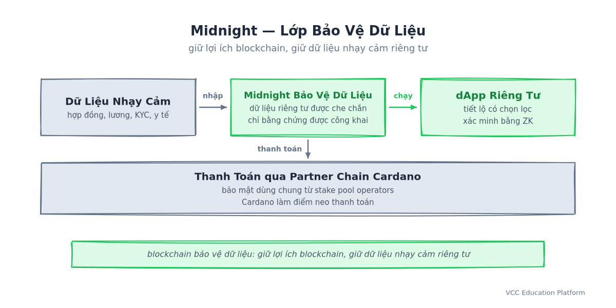 Tổng quan Midnight lớp bảo vệ dữ liệu: dữ liệu doanh nghiệp nhạy cảm (hợp đồng, lương, KYC, y tế) đưa vào Midnight bảo vệ dữ liệu nơi trạng thái riêng tư được che chắn và chỉ bằng chứng được công khai, từ đó vận hành các dApp riêng tư với tiết lộ có chọn lọc và xác minh ZK, tất cả thanh toán qua partner chain Cardano với bảo mật dùng chung từ stake pool operators