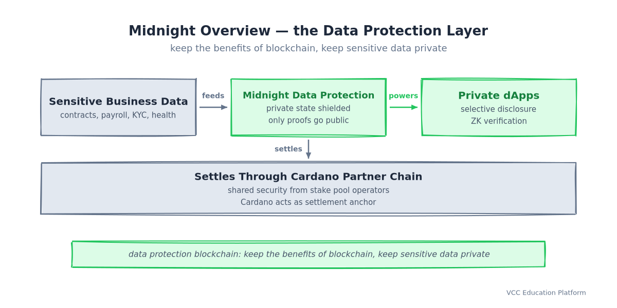 Midnight overview data protection layer: sensitive business data (contracts, payroll, KYC, health) feeds Midnight data protection where private state is shielded and only proofs go public, which powers private dApps with selective disclosure and ZK verification, all settling through the Cardano partner chain with shared security from stake pool operators