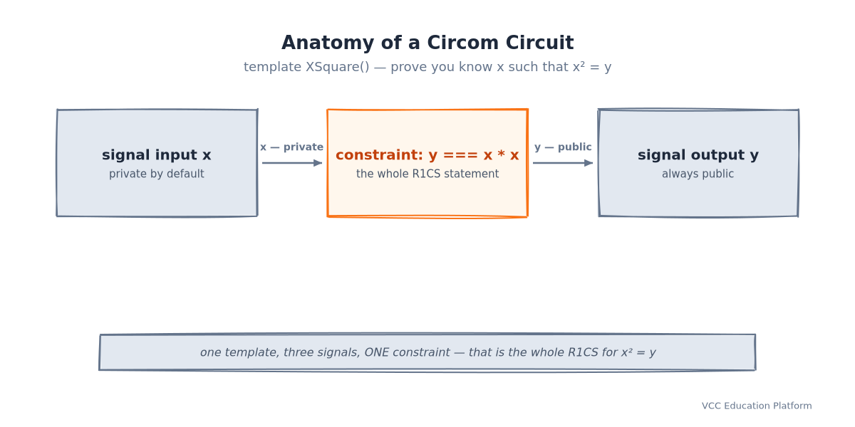 Circom circuit anatomy: signal input x → constraint y === x * x → signal output y, with x private and y public
