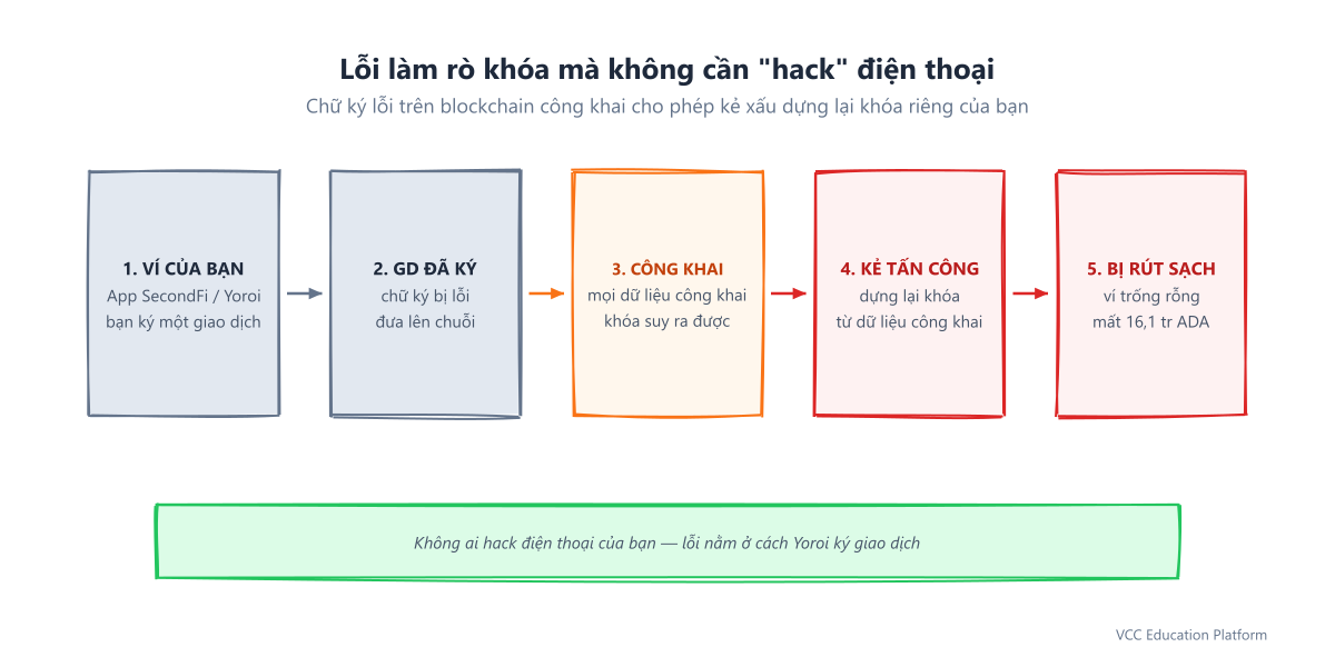 Cách lỗi ký làm lộ khóa: giao dịch đã ký của bạn nằm trên blockchain công khai, kẻ tấn công suy ra khóa riêng từ dữ liệu công khai, rồi tiêu số ADA của bạn