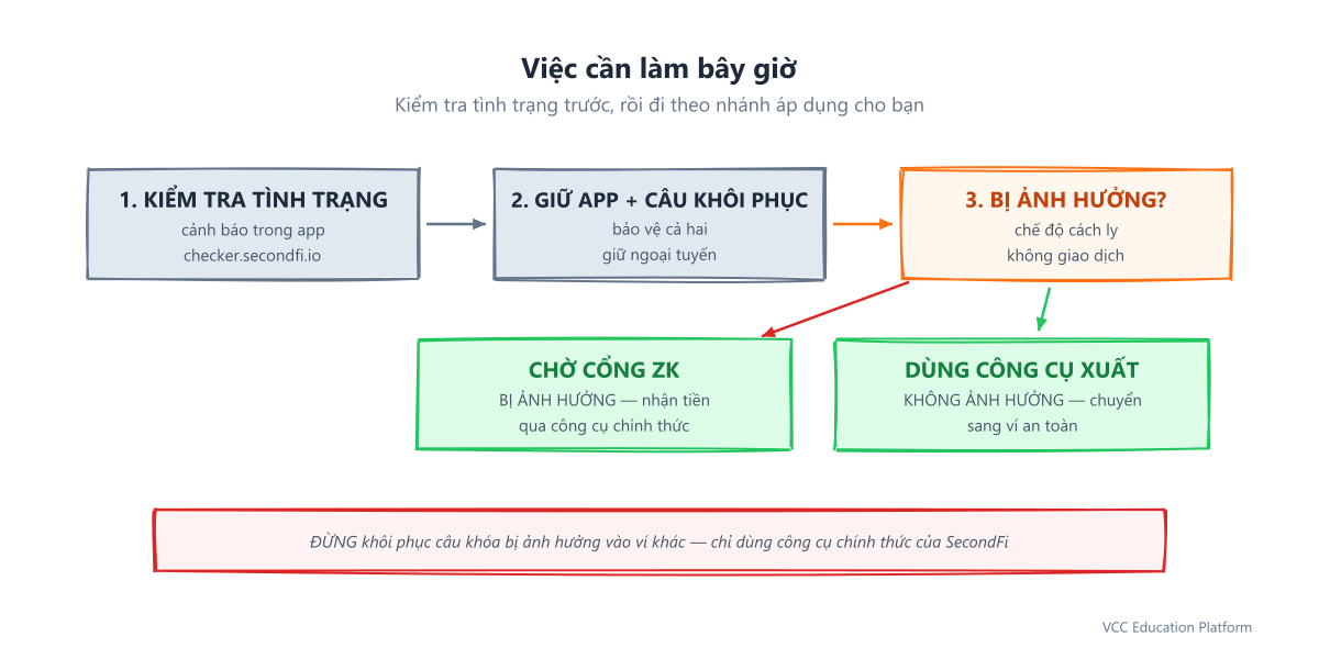 Cần làm gì ngay bây giờ: kiểm tra trạng thái trong ứng dụng hoặc tại checker.secondfi.io, giữ ứng dụng đã cài và cụm từ khởi tạo an toàn, nếu bị ảnh hưởng hãy chờ cổng phục hồi ZK, nếu không bị ảnh hưởng hãy dùng công cụ xuất chính thức, rồi chuyển ADA sang ví an toàn như ví cứng, Lace, Eternl hoặc Daedalus