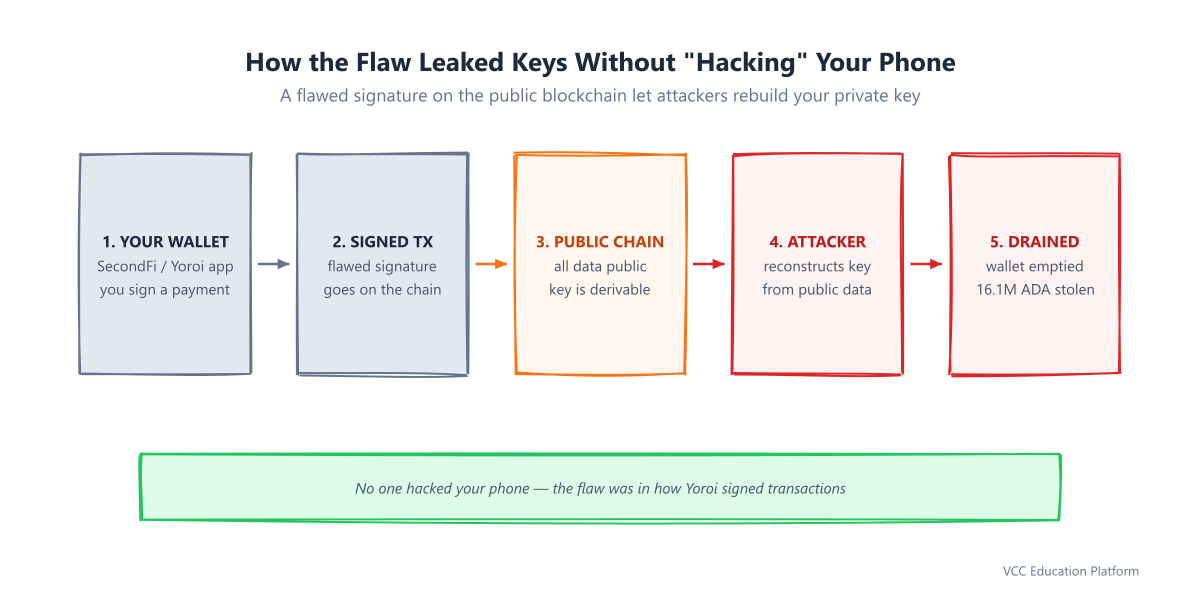 How the signing flaw leaked keys: your signed transaction sits on the public blockchain, an attacker derives the private key from public data, then the attacker spends your ADA