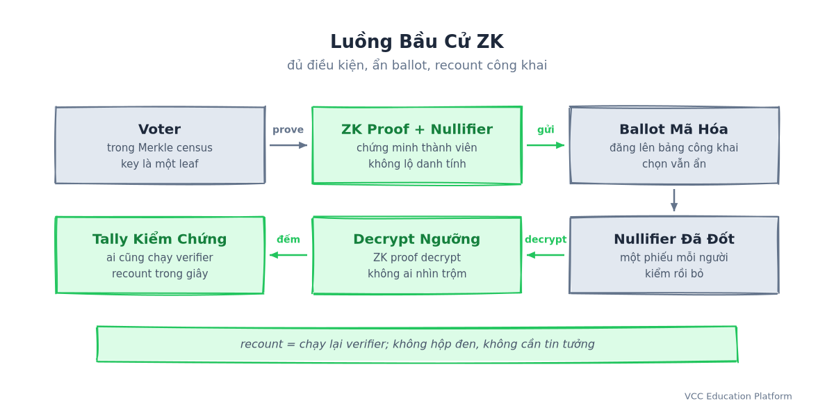 Luồng bầu cử ZK: cử tri đủ điều kiện trong Merkle census → ZK proof và nullifier chứng minh thành viên không lộ danh tính → ballot mã hóa đăng lên bảng công khai → nullifier bị đốt đảm bảo một phiếu mỗi người → giải mã theo ngưỡng kèm ZK proof → tally kiểm chứng được, ai cũng chạy verifier và recount trong vài giây