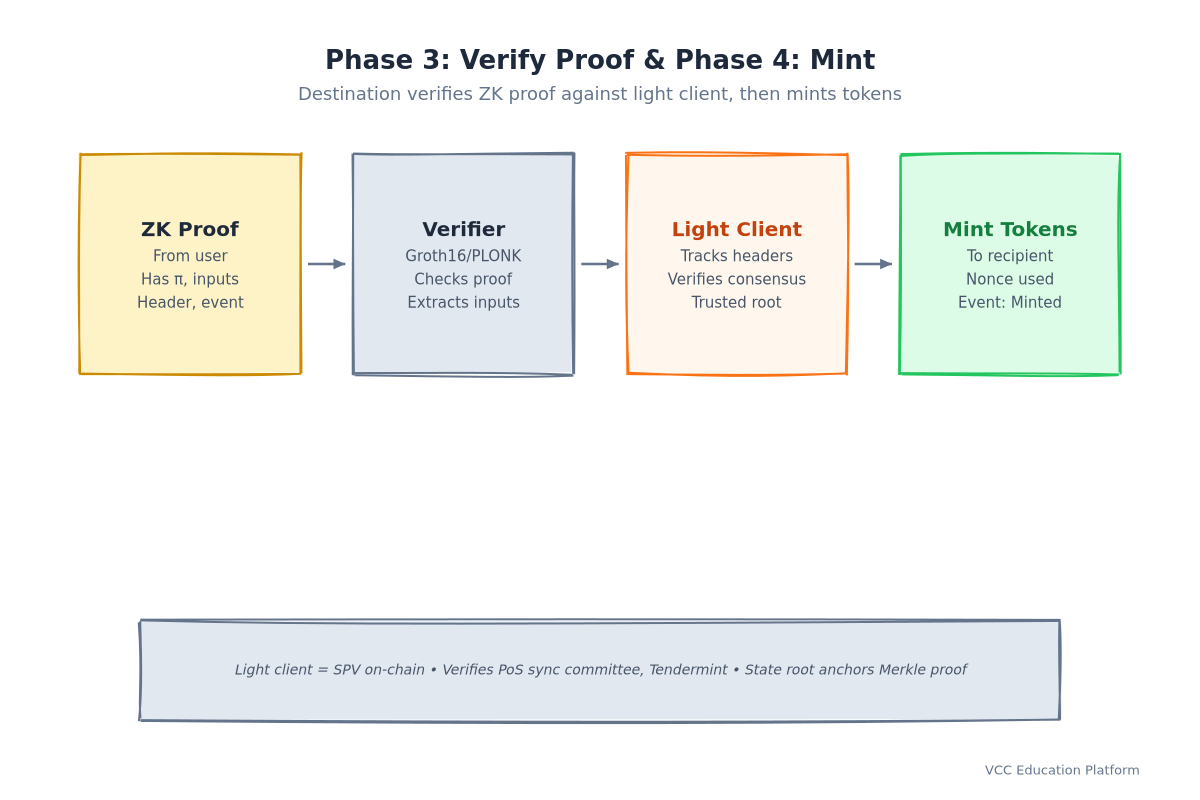 Verify phase: ZK proof → Verifier contract → Light client check → Proof valid? → Mint tokens