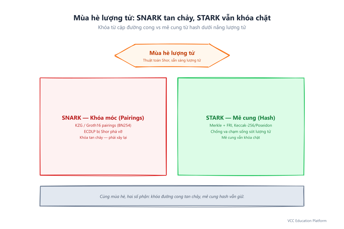 Ví dụ mùa hè lượng tử: khóa móc SNARK (pairings) tan chảy, mê cung hash STARK vẫn khóa chặt