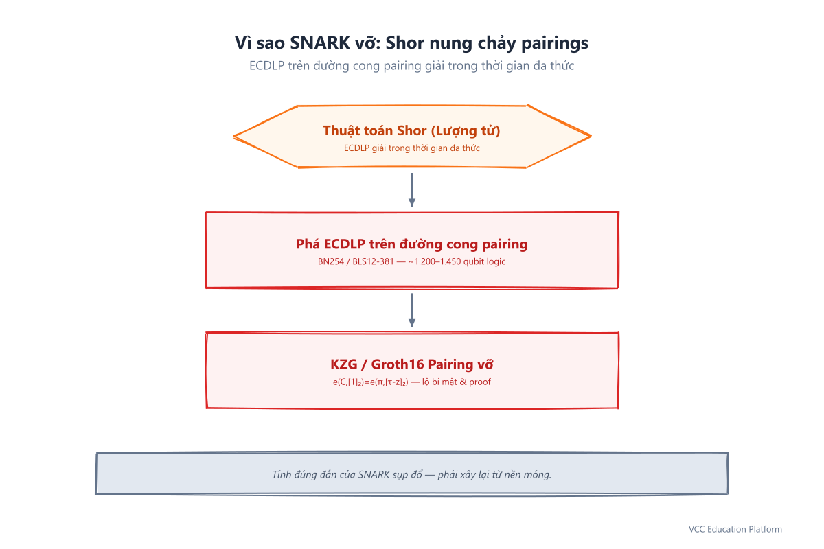 Thuật toán Shor phá vỡ các cặp đường cong giữ cam kết KZG của SNARK