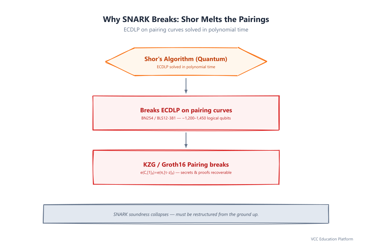 Shor's algorithm breaking the elliptic-curve pairings that hold a SNARK's KZG commitment