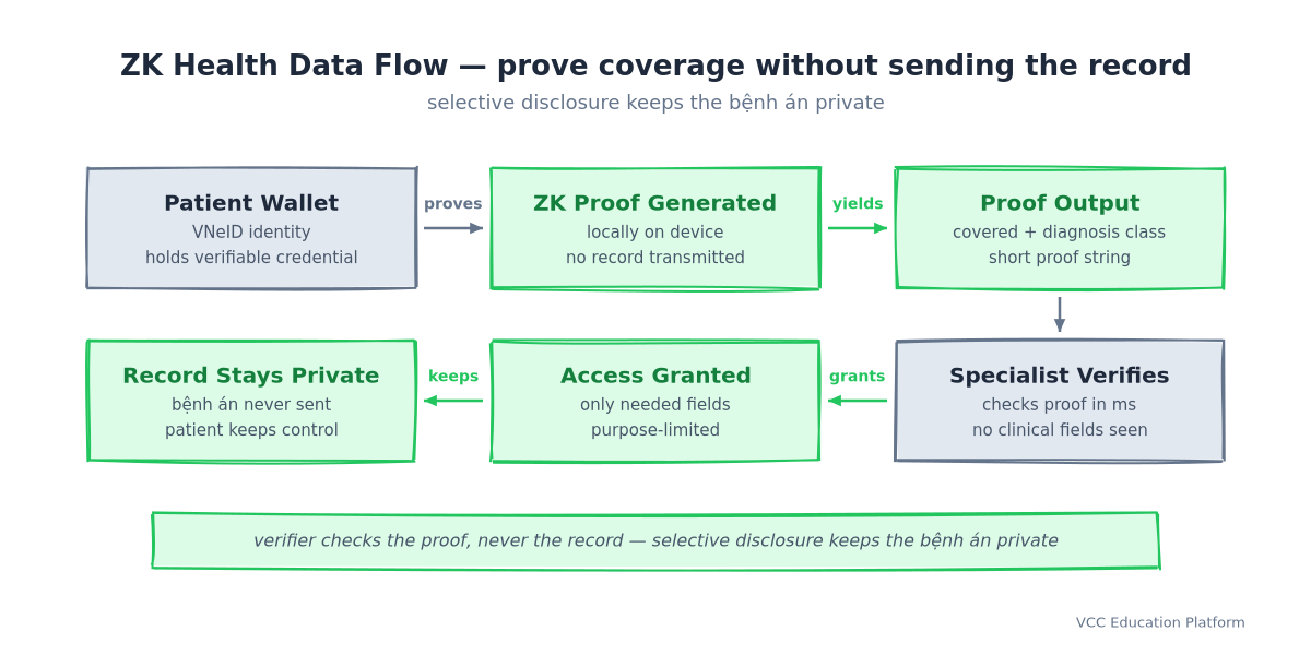 ZK health data flow: patient wallet with VNeID identity generates a ZK proof locally on device, proof output shows covered plus diagnosis class, specialist verifies the proof in milliseconds without seeing clinical fields, access granted to only needed fields, record stays private and bệnh án is never sent