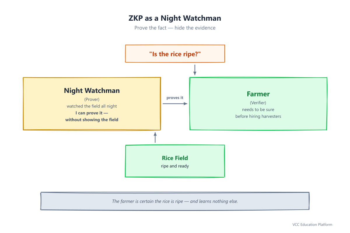 Night watchman overview: central watchman figure by the rice field at night holding a lantern. Two characters: Night Watchman (Prover, knows the field is ripe after watching all night) and Farmer (Verifier, needs to be sure before hiring harvesters). Question bubble: Is the rice ripe? Arrow shows watchman answers without showing the field