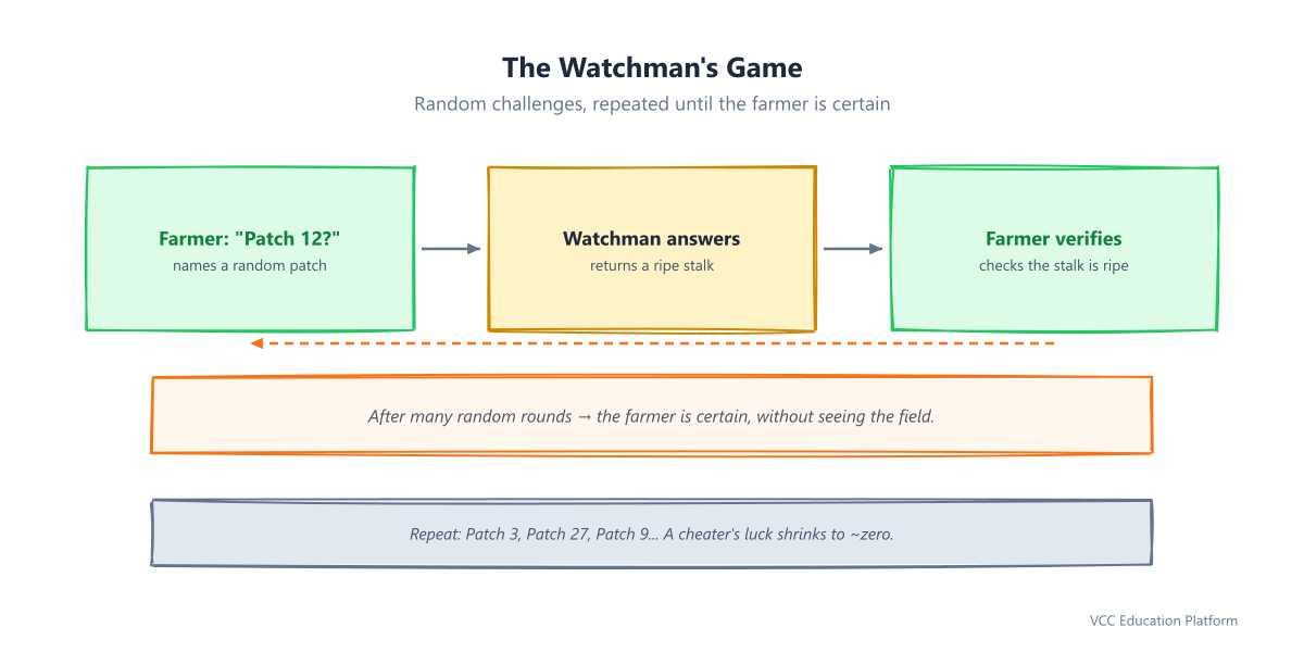 Challenge and response rounds flowchart: Farmer asks Patch 12? → Watchman returns ripe stalk from Patch 12 → Farmer verifies. Loop shown repeated (Patch 3, Patch 27, Patch 9...). After many rounds: Farmer is certain — without seeing the field. Loop cycling with probability note