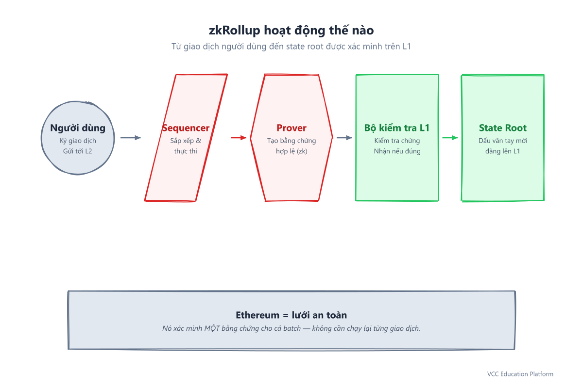 Cách zkRollup hoạt động: người dùng ký giao dịch, sequencer gom batch, prover tạo bằng chứng hợp lệ, L1 verifier kiểm tra, và state root mới được đăng lên Ethereum