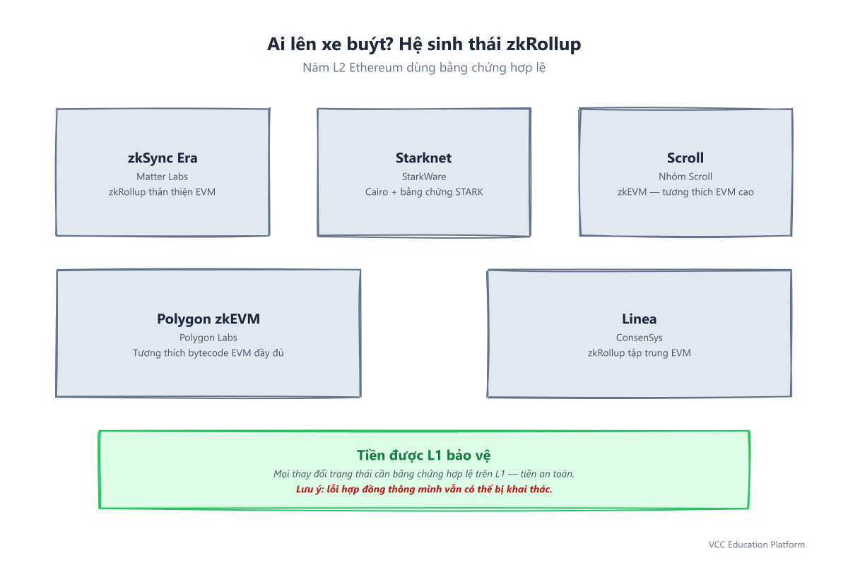Hệ sinh thái zkRollup: zkSync Era, Starknet, Scroll, Polygon zkEVM và Linea, tất cả được bảo vệ bởi L1 với tiền đảm bảo bằng bằng chứng hợp lệ
