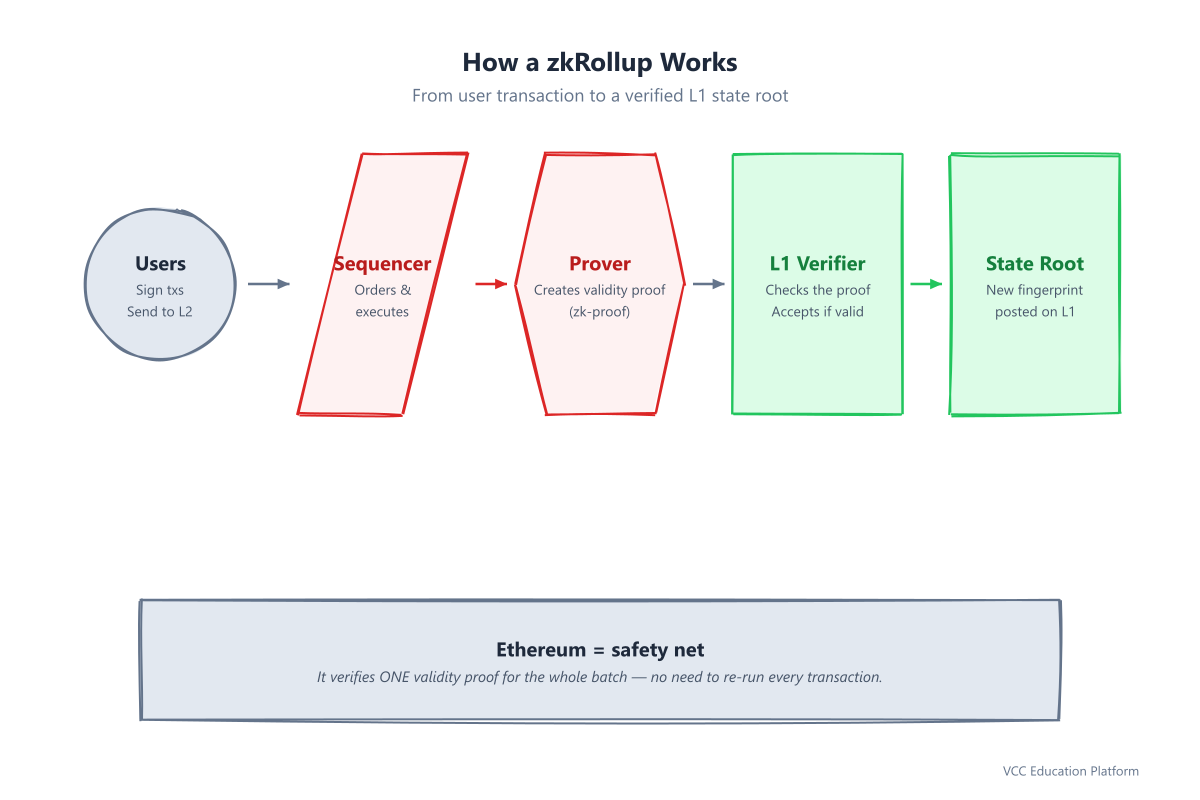 How a zkRollup works: users sign transactions, the sequencer batches them, the prover creates a validity proof, the L1 verifier checks it, and a new state root is posted on Ethereum