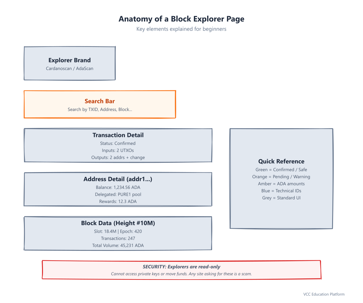 Diagram - Anatomy of a Block Explorer page