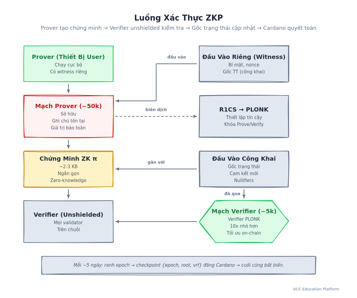 Luồng xác minh ZKP: Prover → Mạch → Chứng minh → Verifier Unshielded → Cập nhật Gốc Trạng Thái → Quy Toán Cardano